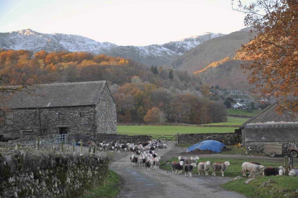 Lake District Holiday Cottage in Coniston